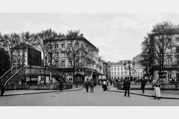 À quand le retour de beaux arbres dans ce lieu emblématique ?