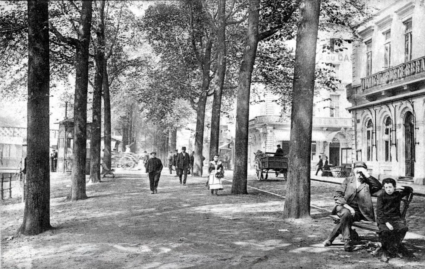 Quai de Brabant, entre les arbres | Quai Arthur Rimbaud, Charleroi